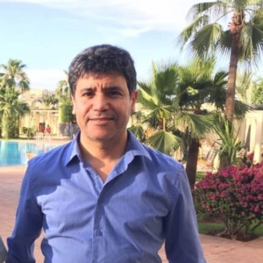 Prof. Mounim A. El Yacoubi