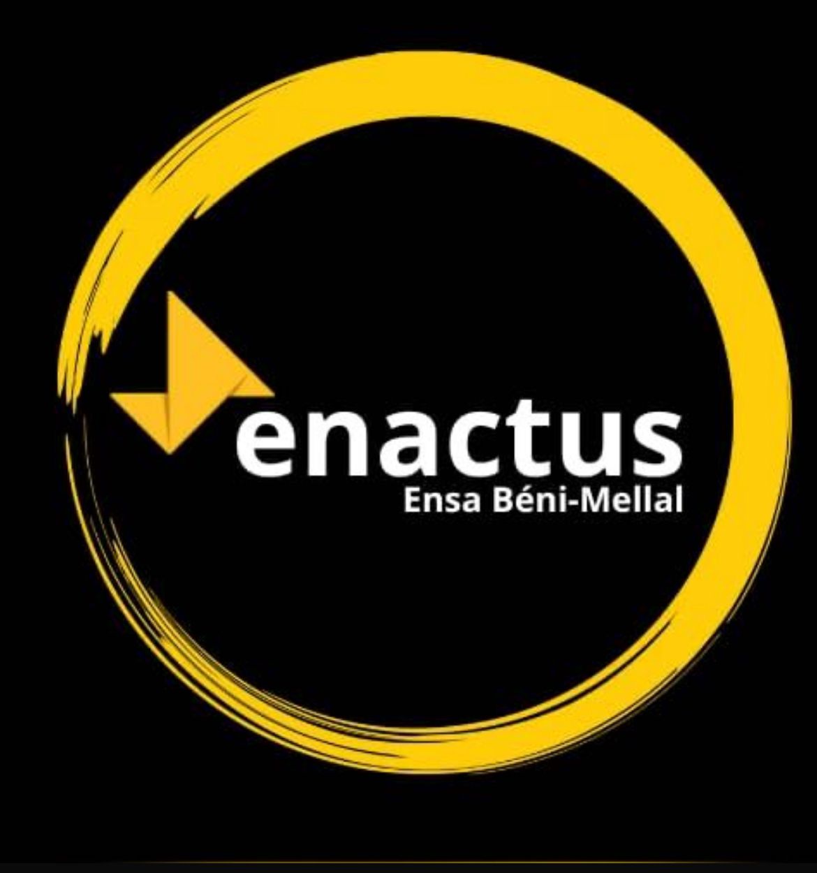 Logo ENACTUS