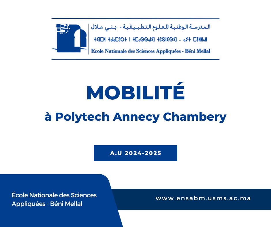Read more about the article Mobilité Polytech Annecy Chambery 2ème année TDI & EREE 24-25